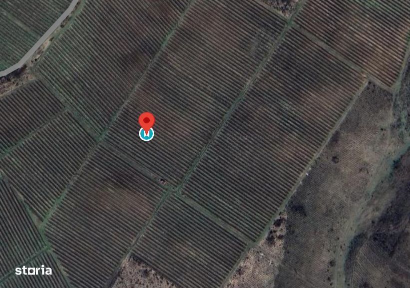 Vie Vanzare Podgoria Dealu-Mare, Boldesti-Scaeni, Prahova - 15,39 ha