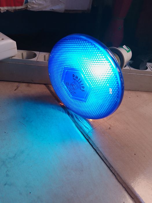 5 Spoturi PAR 38 Philips NOI
Spoturile sunt noi , 220 V - 80 W.