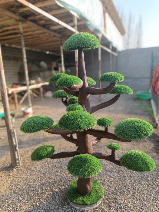 Декоративные растения, искусственные деревья!
Самый большой вы