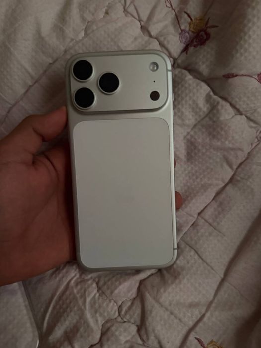 17 max 256 gb silver