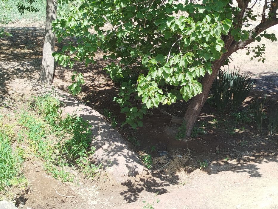 Kvartira sotiladi,yangiarik shaharchasinda.parkni yonida.