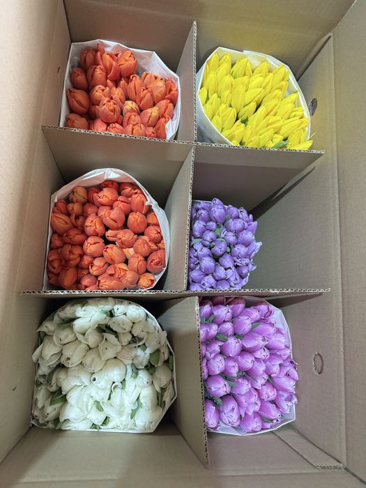 Тюльпаны за 300 тг