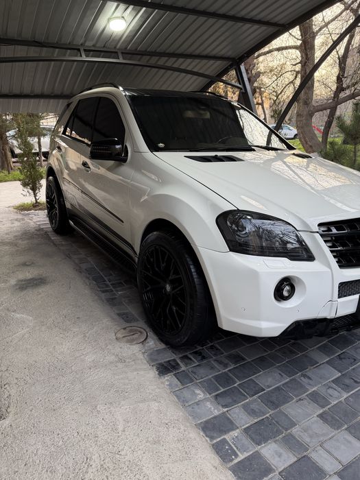 Мл164. Мерс 5.5АМг