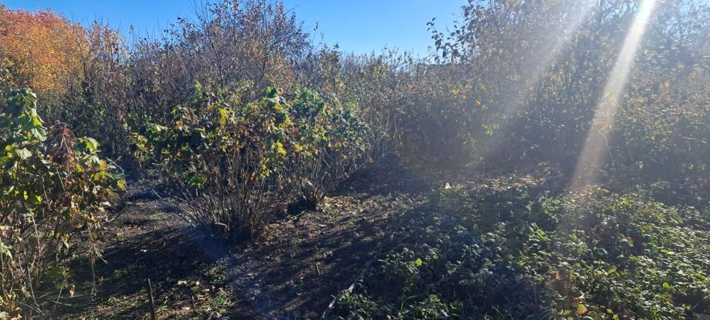 Продам дачный участок