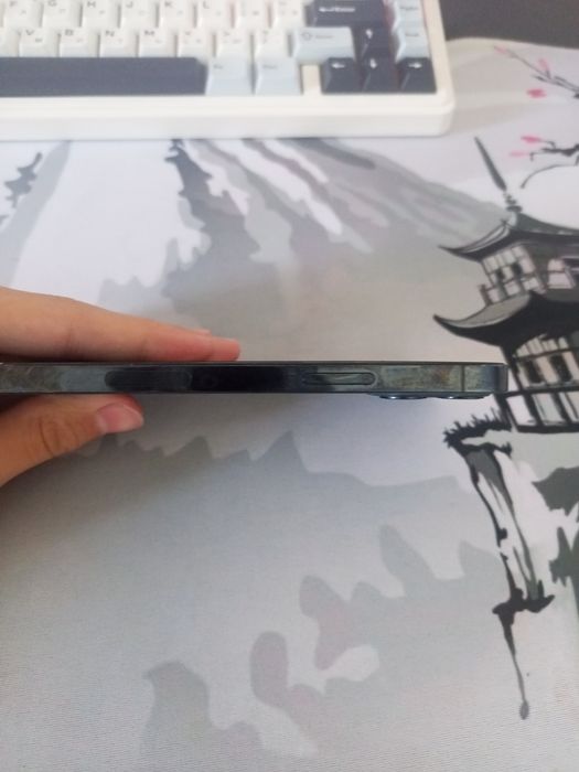iPhone 12 Pro 512GB — Face ID и True Tone работают