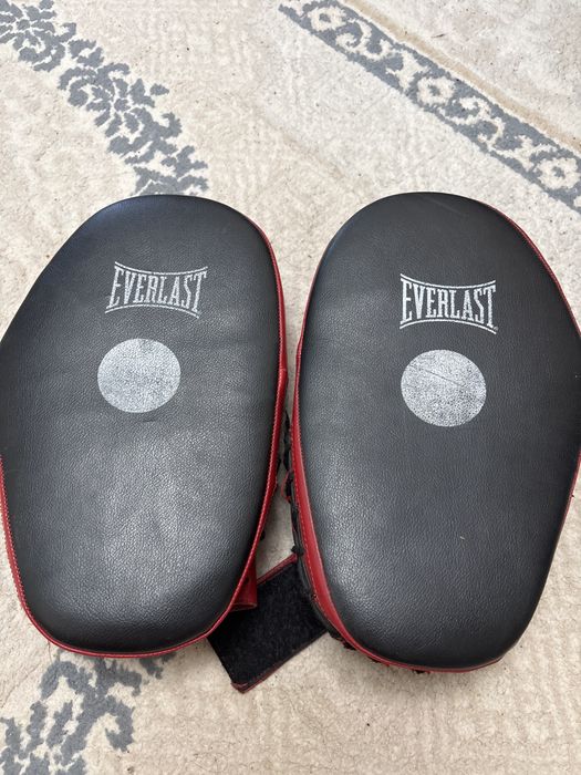 Тренировочные лапы EVERLAST