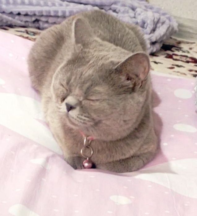 Yashirin kamera nudist beach video