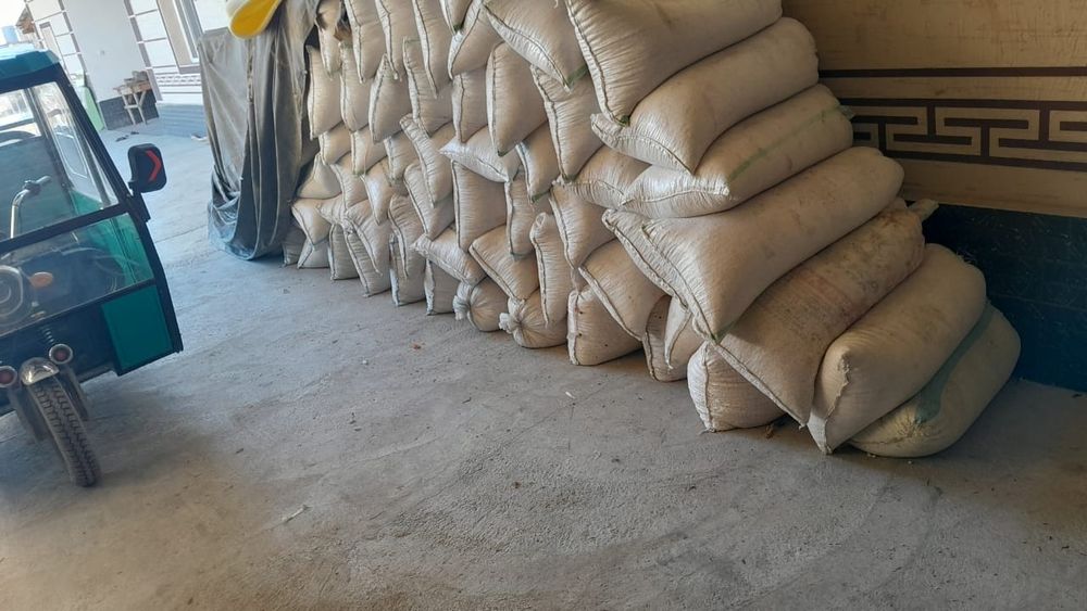 Ақ жүгері Көжеге