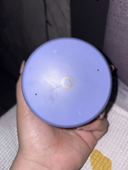 Алиса в хорошем состоянии