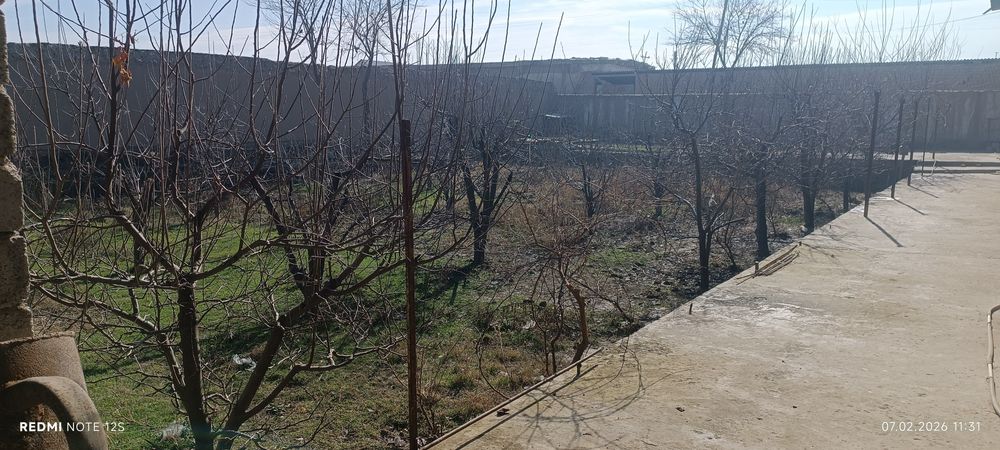 Жума Янгиобод МФИда 14 сотих Уй сотилади