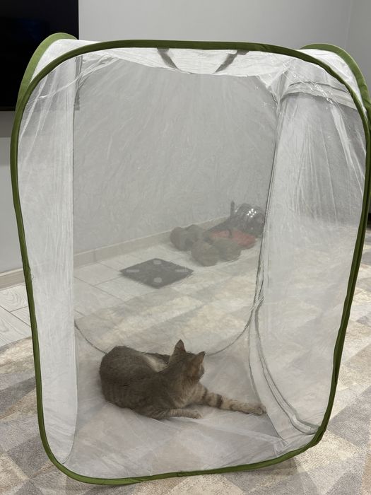 Продам иссектарий