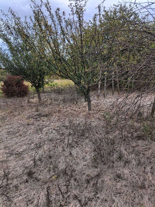 560-Продава се дворно място в местността "Арменски Лозя"!