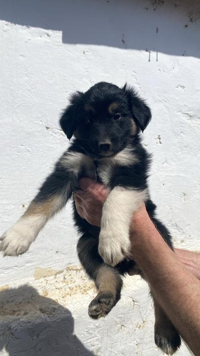 Бесплатно  девочка