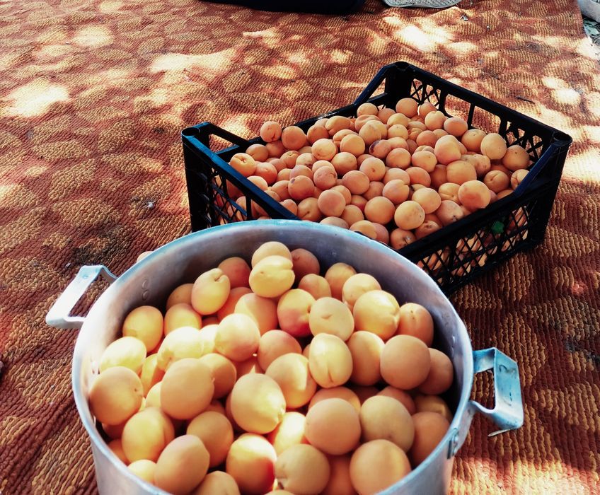 Екі бөлмелі вримянка