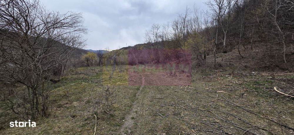 Teren de vanzare in Brebu - Raul Doftana