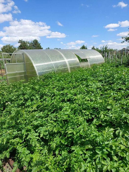 Продаётся дача, Федоровка