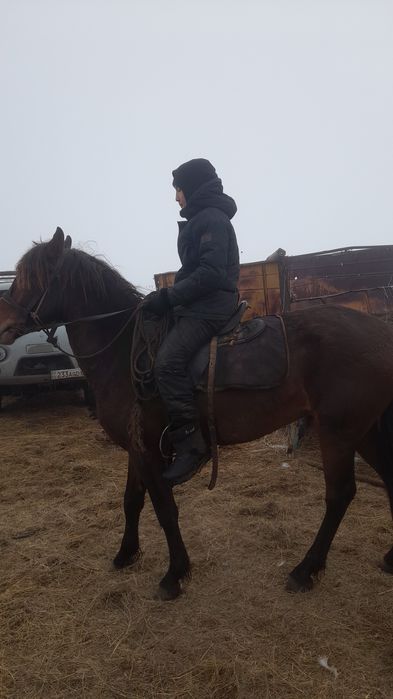 Құнаннан Дөненге шығады