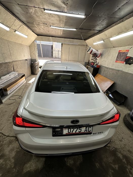 Тонировка от 12000