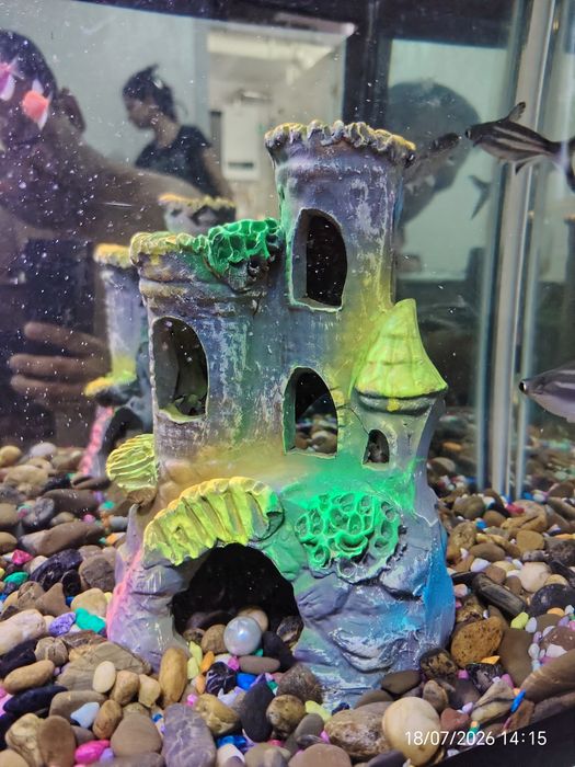 Akvarium baliqlari bilan (Аквариум) 65*45*30