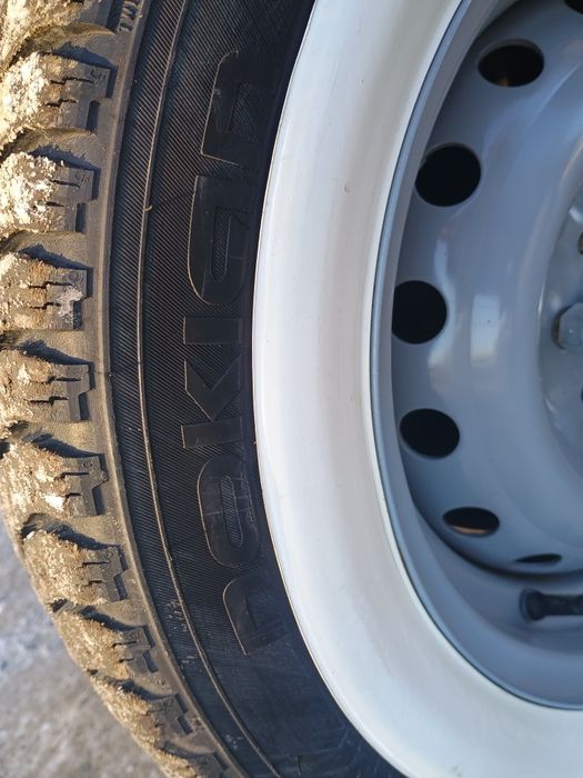 Живая семёрка, 2011г.