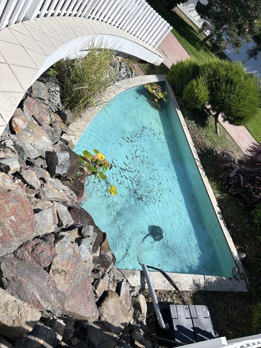 Amenajare, mentenanta acvarii si iazuri