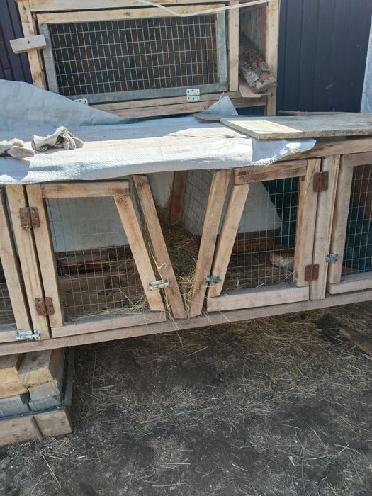 Продаются клетки кроликам