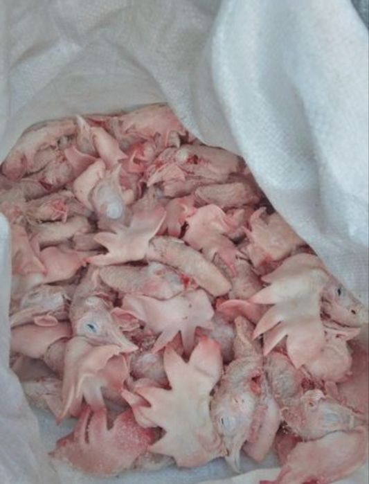 Корм для собак и кошек. Куриные головы