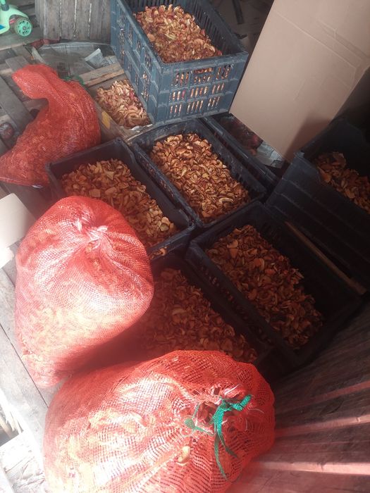 Сухофрукты находимся Есике