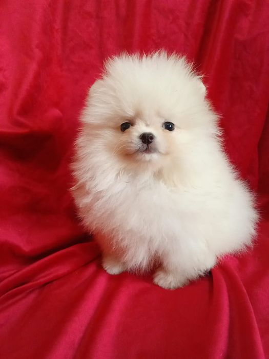 Счастье на ладошке