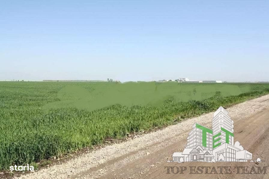 Teren  de vazare pt investitie, Sinesti, 4 eur  mp, 21000mp , Ialomita