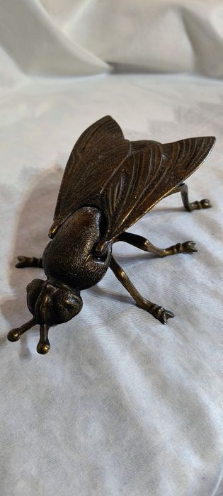 Голяма бронзова муха - пепелник