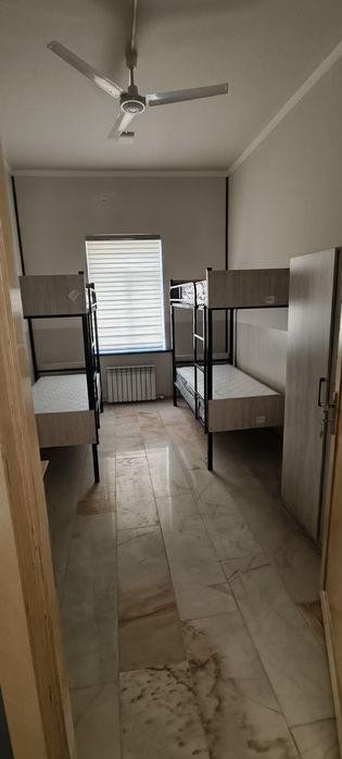 T A L A B A L  A R,  faqat O'g'lbollar  u