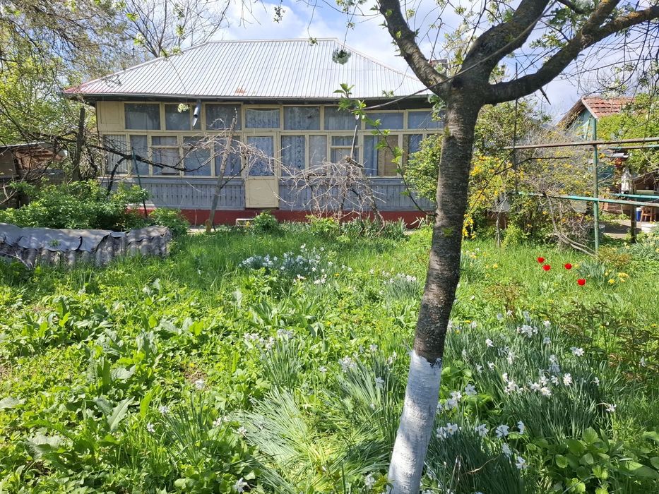 Casa 3 cam. + anexe, teren 2000mp, drum asfaltat Barcanesti(Ialomita)