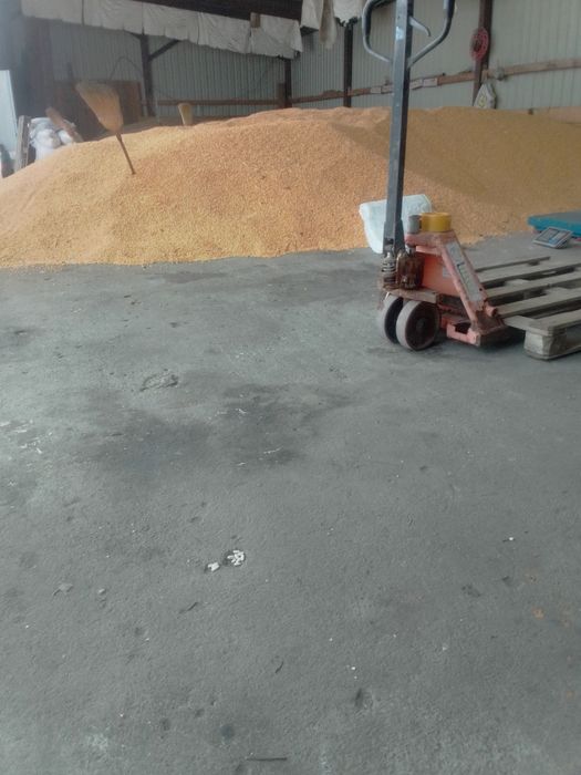 Porumb de vânzare