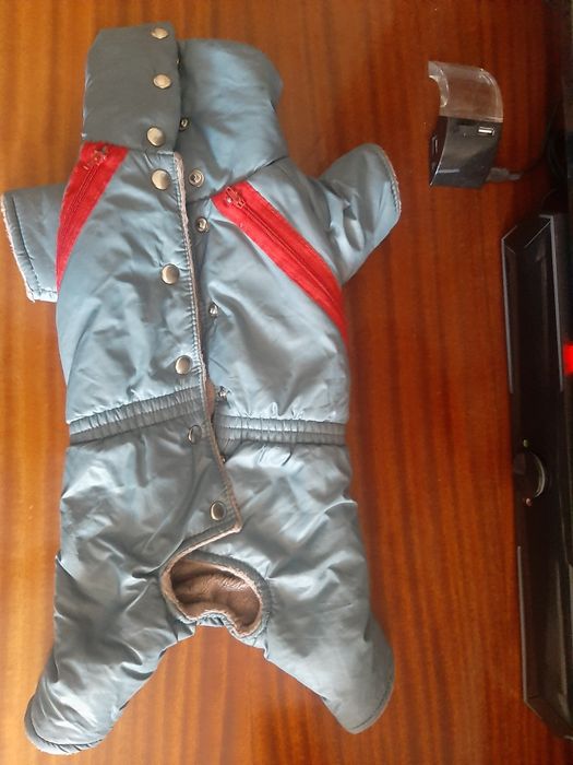 Одежда для собачки