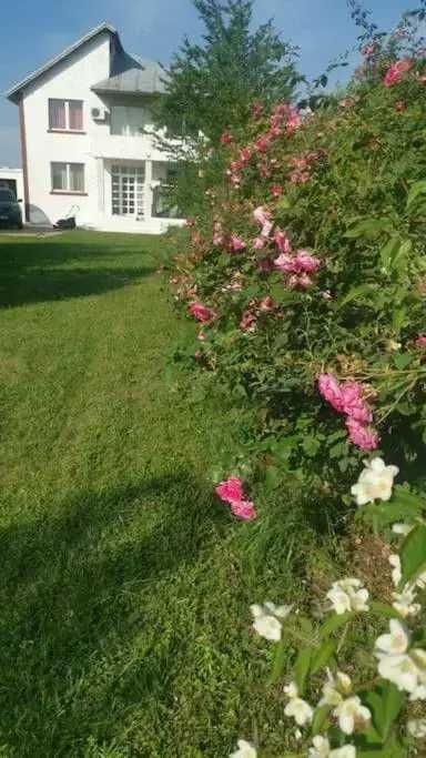 vila buftea lac mediapro