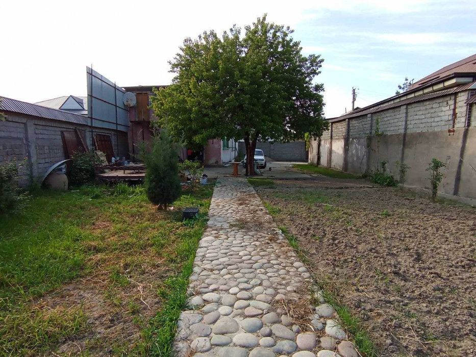 Xovli sotiladi Yanggi Ózbekistonda 9.9 sotix