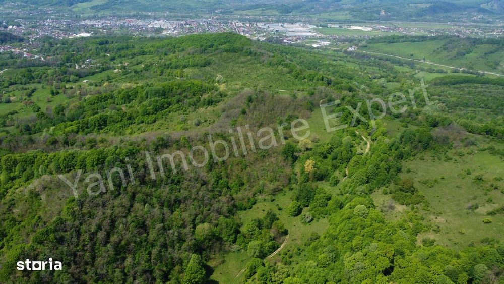 Teren 19.452 mp de vânzare în Curtea de Argeș.