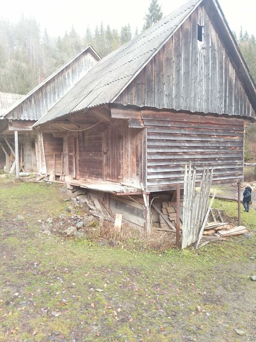 Vind grajd din birna