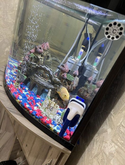 Аквариум сотилади