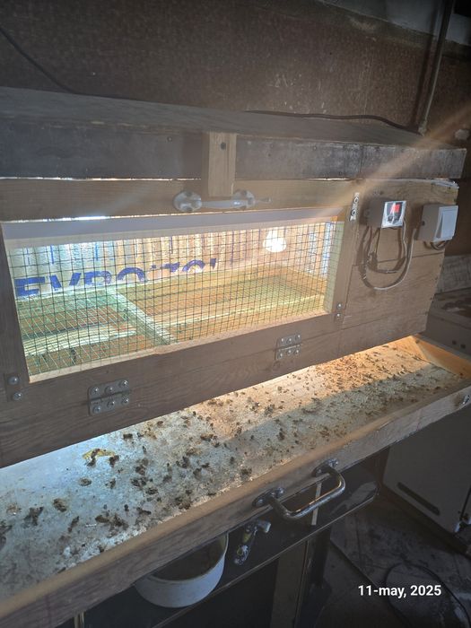 Bruder брудер жужалар учун