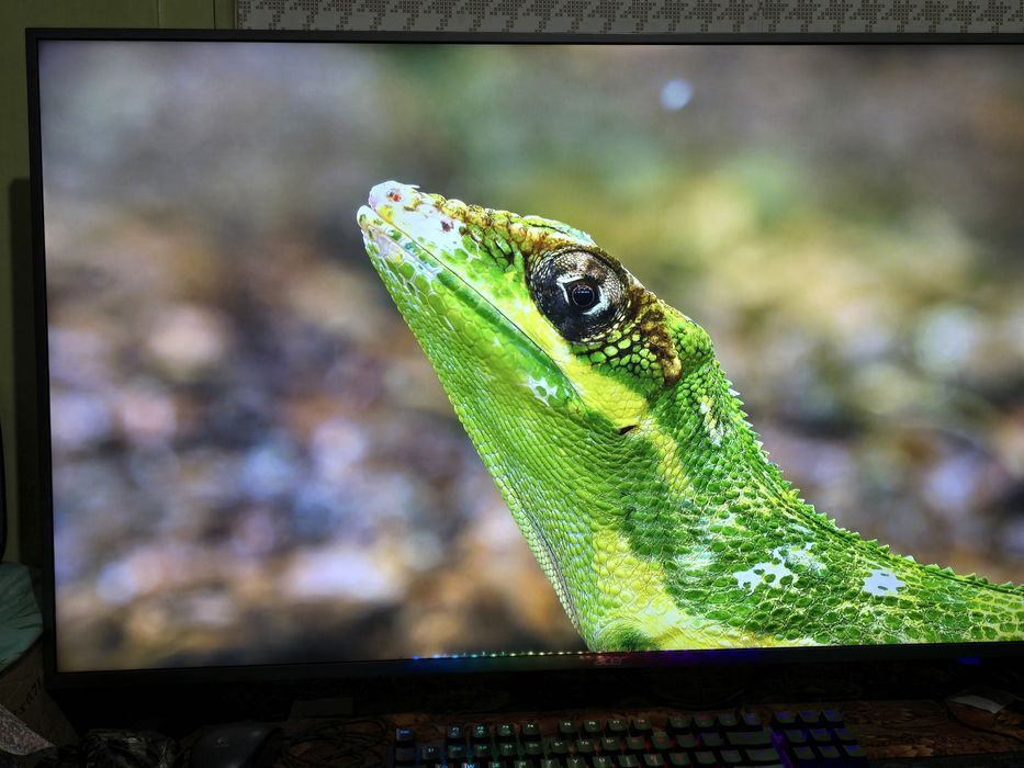 Монитор Acer DM431K