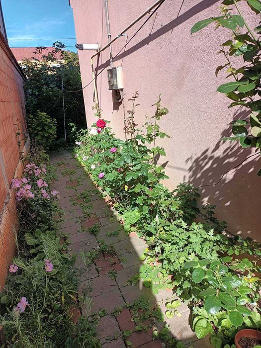 Vand casa strada Bolintineanu, Drobeta Turnu Severin