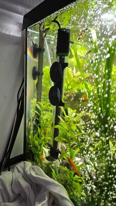 Vand acvariu 112 L complet echipat.