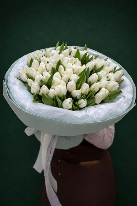 Гулдер 5000 тг ден жоғары