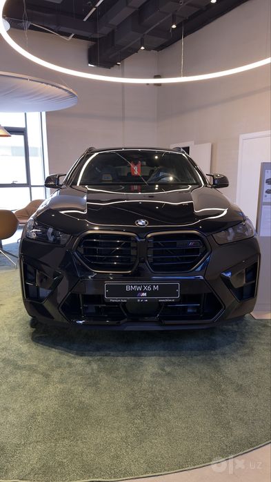 BMW X6 xDrive 40i M sport ( G06 )