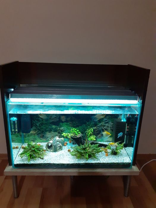 Аквариум 100 литра