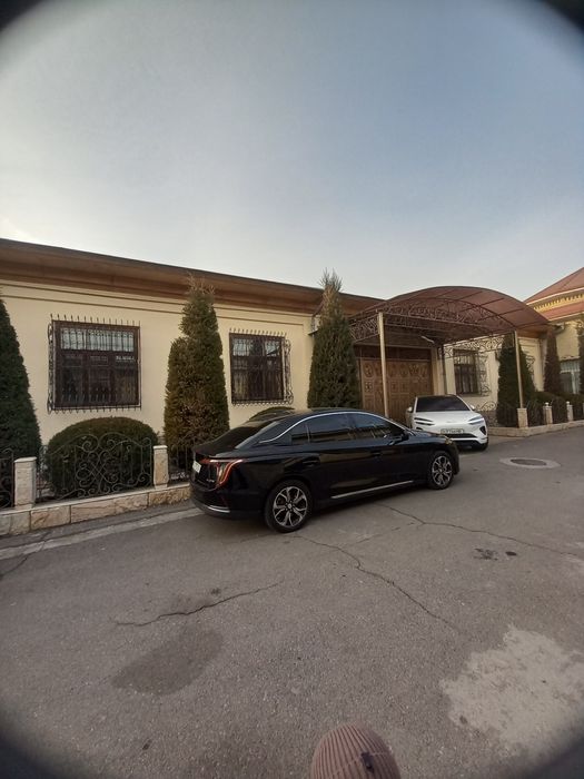 Беруний Метрога якин