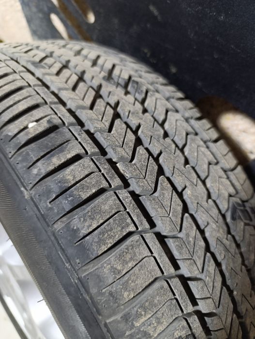 Diamond диска+шина Жентага