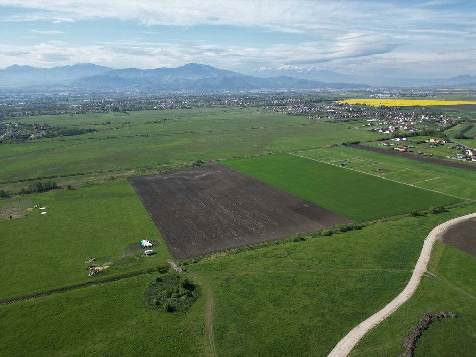 Teren Stupini Bârsei